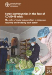  Forest communities in the face of COVID-19 crisis: The role of social organization in response, recovery and building back better